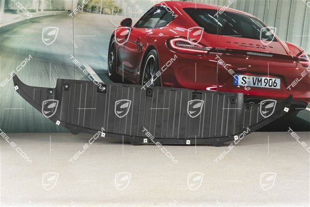 Underbody protection, Spyder