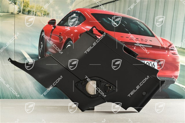 Seitenwandverkleidung, hinten, Leder, Schwarz, Cabrio, R