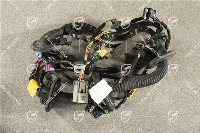 Wiązka instalacji elektrycznej drzwi pasażera, Bose, R