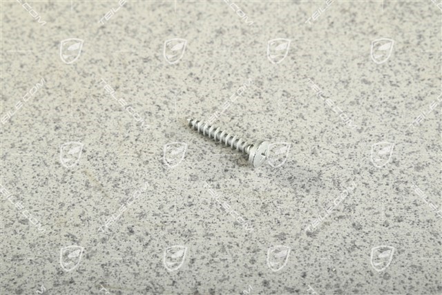 Tapping Screw 5 x 28 Tapping Screw 5 x 28