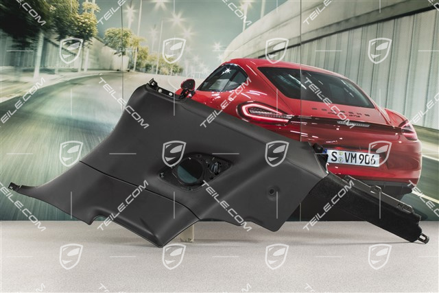 Seitenwandverkleidung, hinten, Leder, Schwarz, Coupe, R