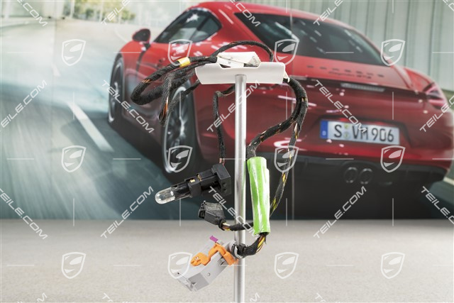 Kabelstrang, Türtafel, Beifahrertür, R Kabelstrang, Türtafel, Beifahrertür, R