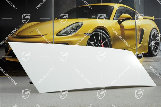 Huracan LP 580-2/LP 610-4 - Abdeckung, Coupe, L Huracan LP 580-2/LP 610-4 - Abdeckung, Coupe, L