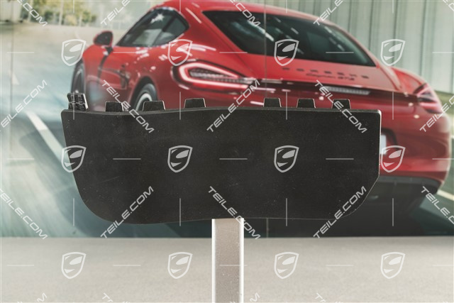 Gummilippe der Schwellerblende, hinten, schwarz, L