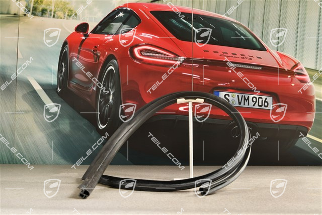 Coupe, Türdichtung, L
