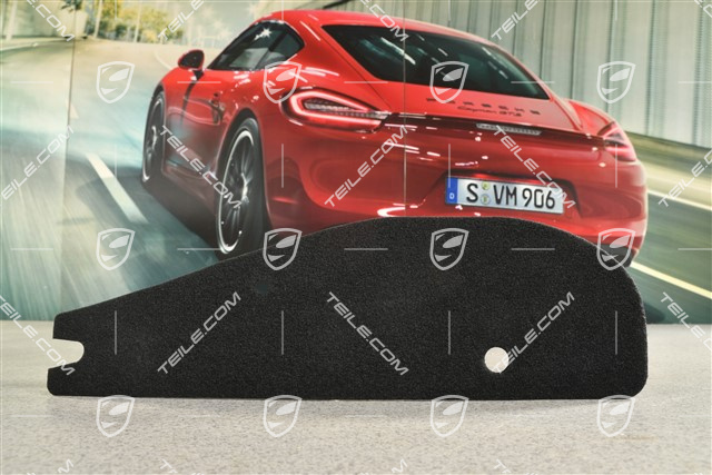 Heckleuchte Abdeckung / Verkleidung, L