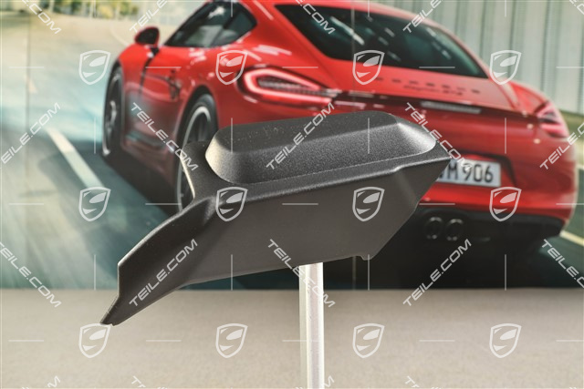 Tail light trim, L