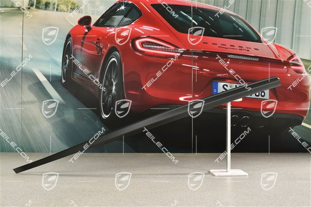 Targa, Abdeckung / Dachkantenleiste, R