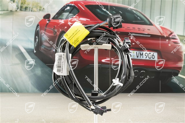 Kabelstrang Verkleidung hinten, C4/C4S, PDC