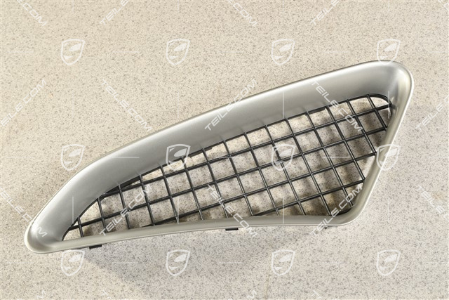 Air inlet grille, Titanium-Metallic, Spyder, R