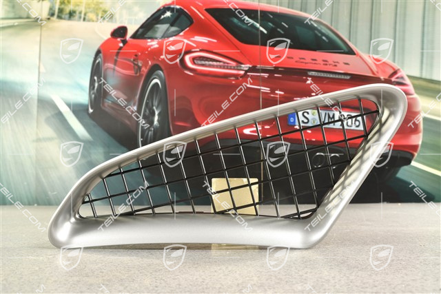 Air inlet grille, Titanium-Metallic, Spyder, R