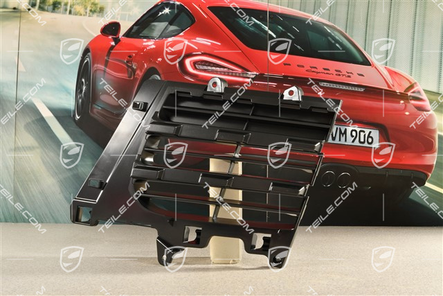 3,0 TDI, Air inlet grille, L