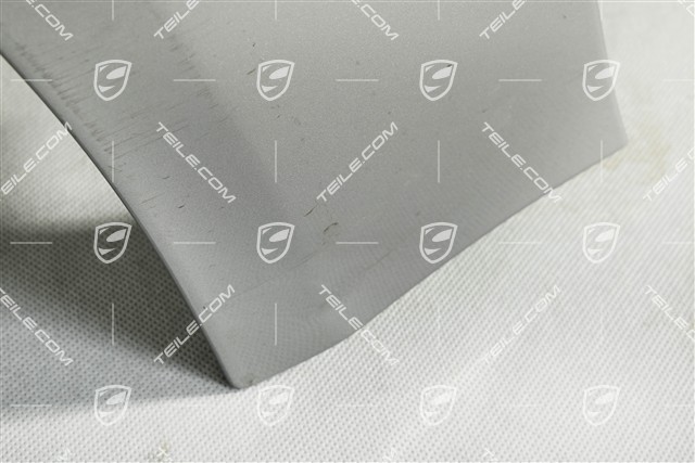 Kotflügel vorne, leicht beschädigt, L
