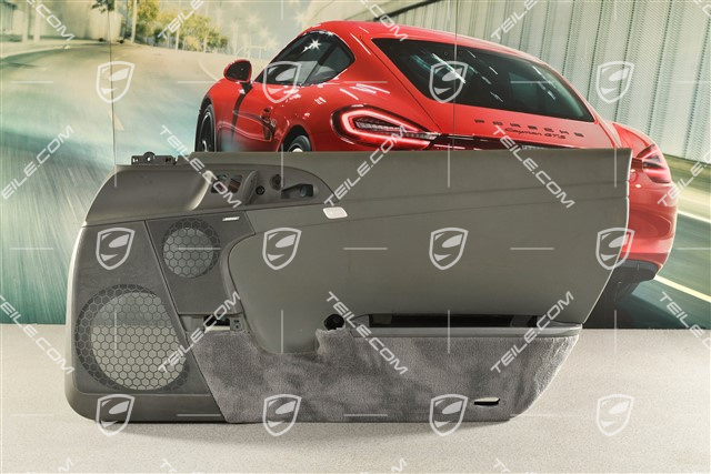 Türverkleidung, Coupé / Targa, Bose Klangpaket, Kunstleder, Steingrau, RHD, R