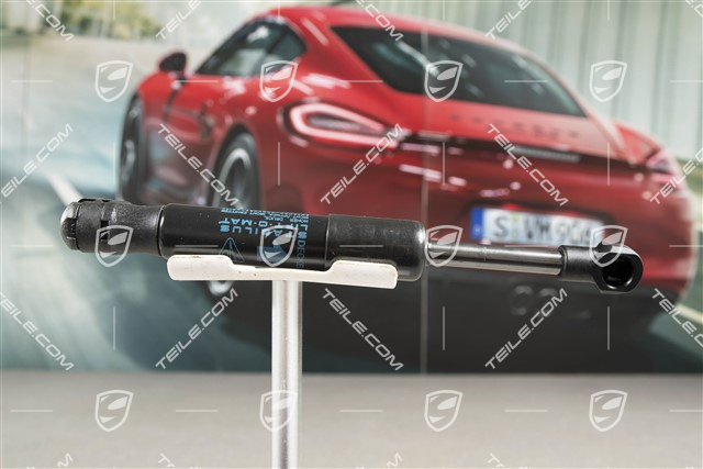 Gas-pressure spring 911 991 R / GT3