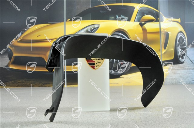 Cover plate (above tailpipe), black