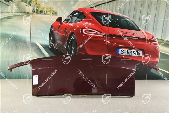Front nose panel