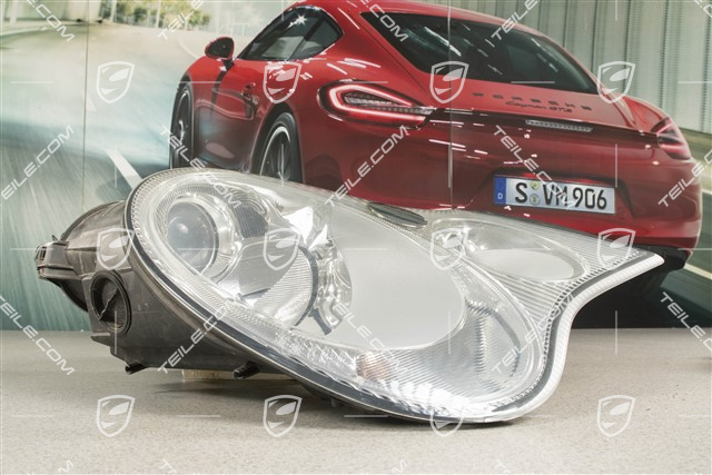 Litronic Scheinwerfer (Bi-Xenon), Streifenglas, beschädigte Befestigung, R