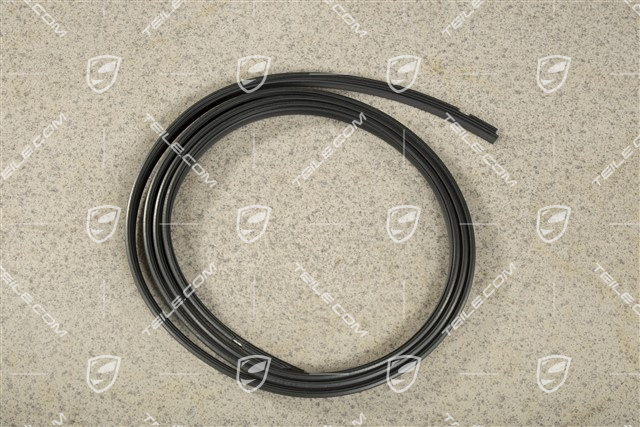 Dichtung, Glasdach, Coupe, R