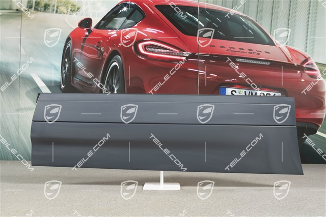 Strip, rear door, R