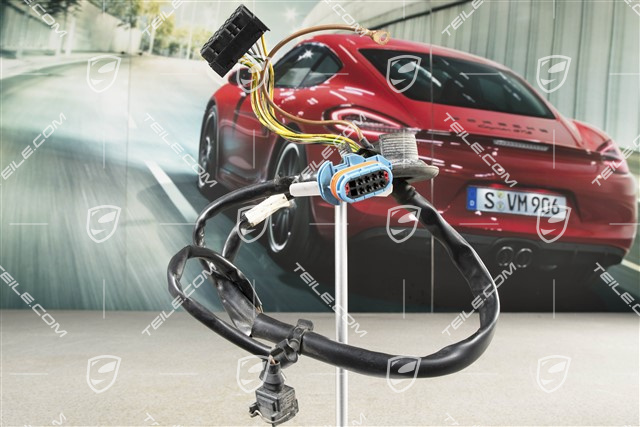 Harness, front, (not for Xenon), R