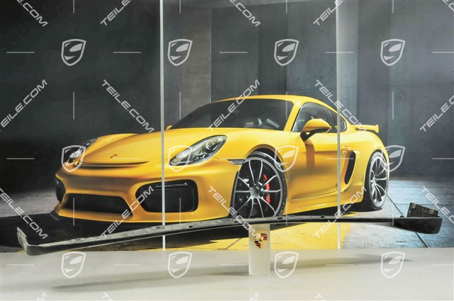 Schwellerblende, Aerokit "Turbo" / Aerokit "Carrera 4S", L