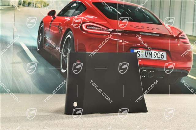 Front Wing / Fender cover / moulding, L