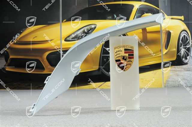 Blenda, przód, Sport Design/GTS/Turbo, R