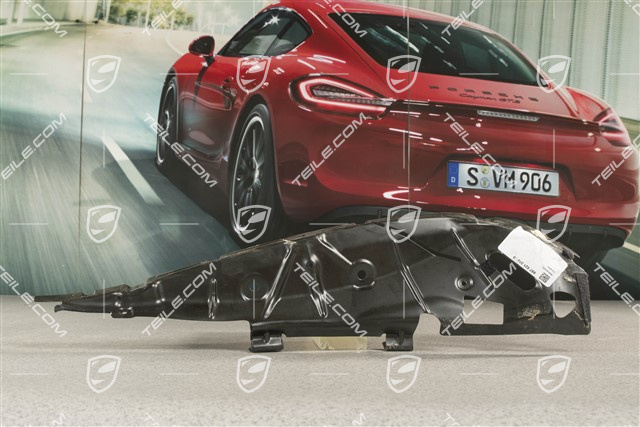 Front seat backrest support, L