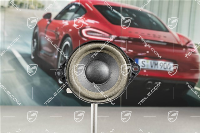 Mid-range loadspeaker, front door