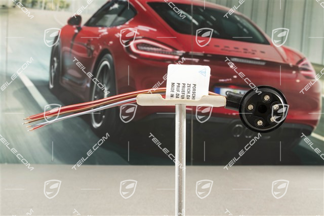 Socket, Relay