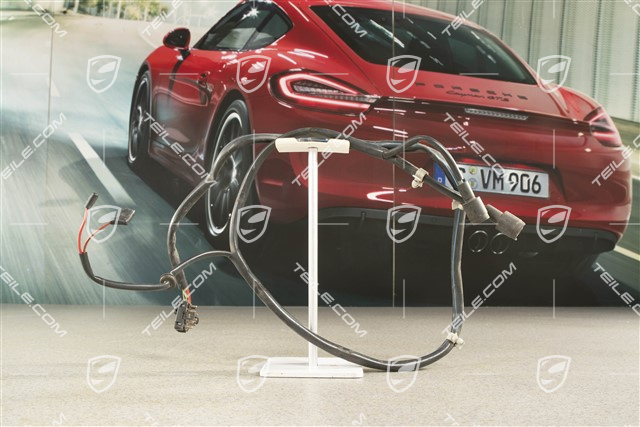 Rear lid, wiring harness / Additional / third brake light