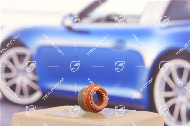 Valve stem seal