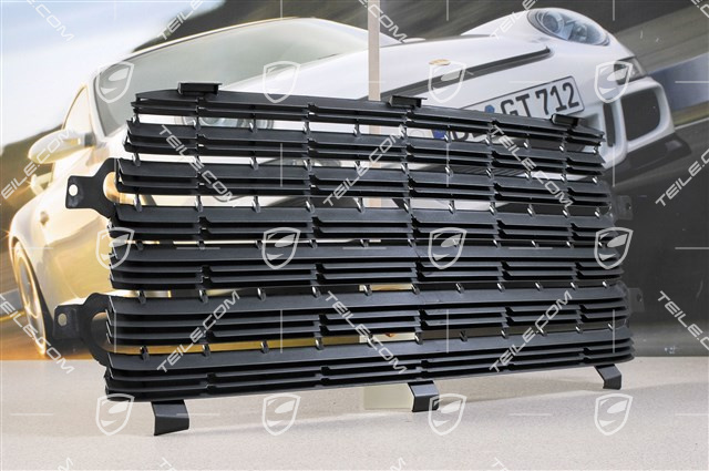 Grille (lower part) Grille (lower part)