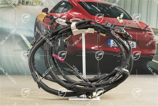 Wiring harness, front bumper