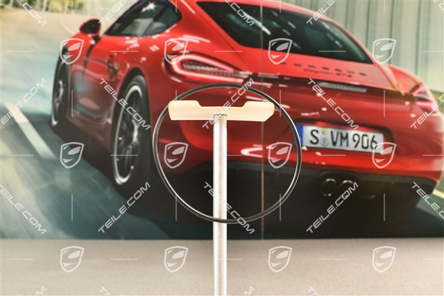 GT3 / GT3RS, O-Ring