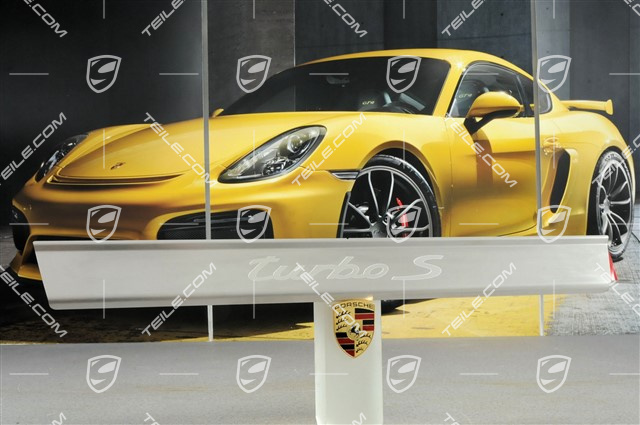 Einstiegleiste "Turbo S", Einzelstück, L=R