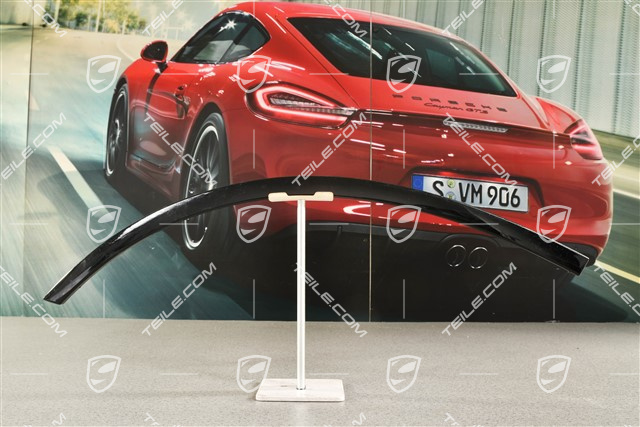 Wide wheel arch cover, rear door, paintable, R