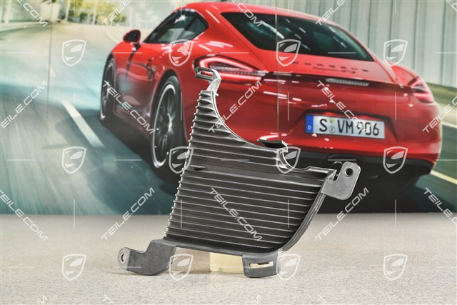 Air inlet / duct / guide cover, lateral, Black matte, PDC, L