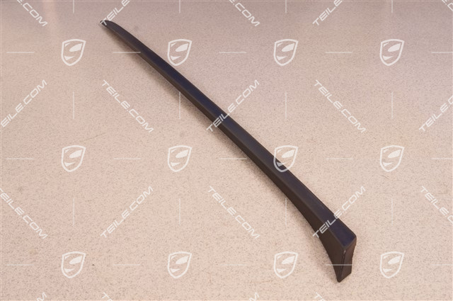 Windshield Water drain strip, A-pillar, black matte, L