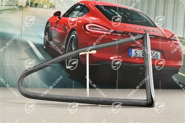 Gasket / Sealing frame, side rear, Coupe, R