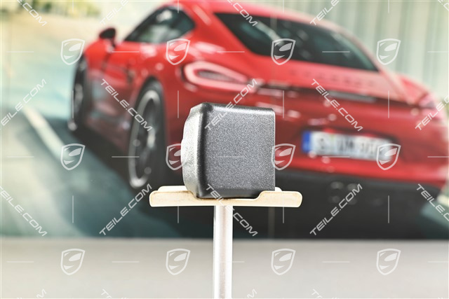Abdeckung für Haltegriff Rücksitzlehne, Schwarz