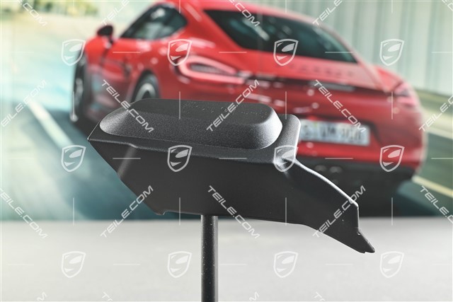 Tail light trim, R