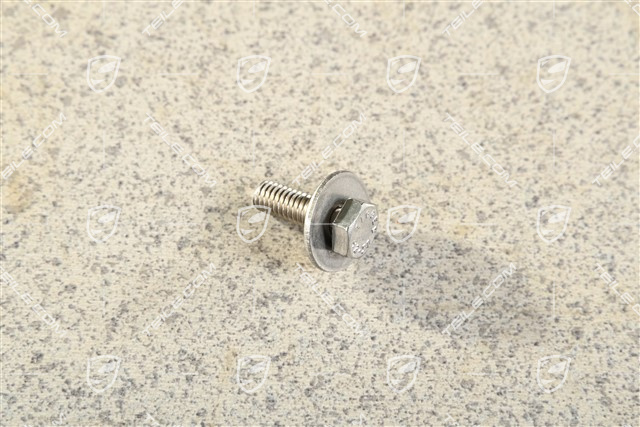 Screw Screw