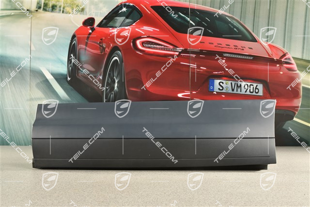 Leiste, Tür hinten, L