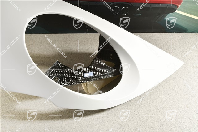 S/T Fender / Wing, carbon fiber, R