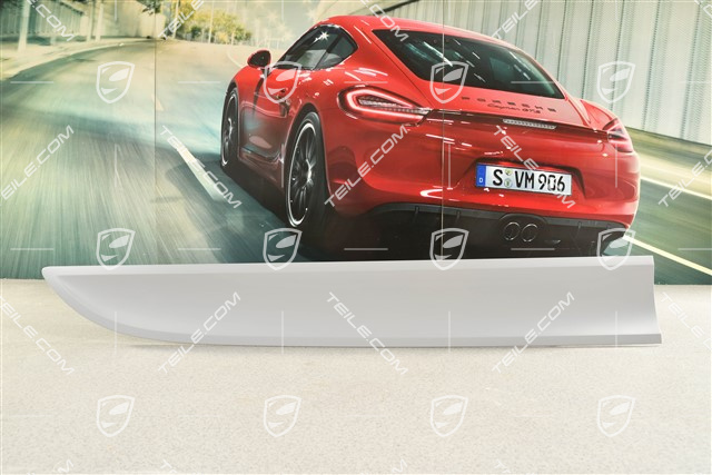 Blende, Tür, vorne, lack, R