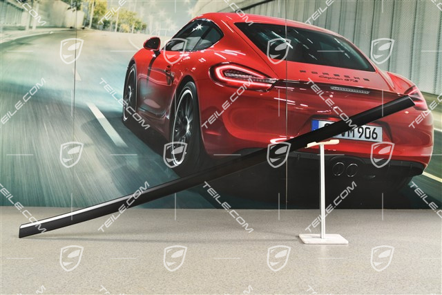 Rear door moulding trim in Black matte, R