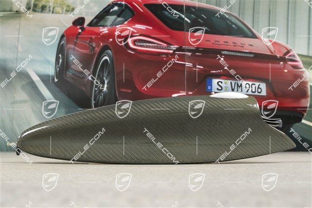 Klapka schowka w drzwi, Carbon, L