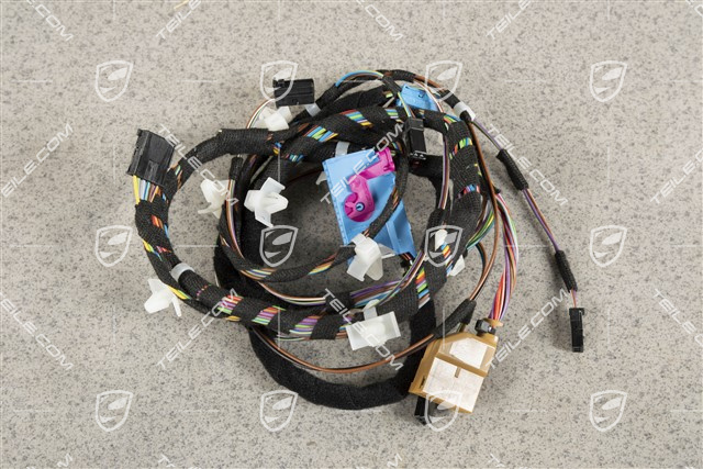 Wiring harness, Assembly frame, driver's door, Spyder, L